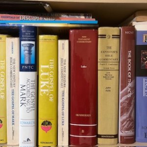 IMG_2197.jpeg
