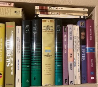 IMG_2195.jpeg