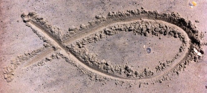 Ichthus-in-Sand-1-768x347.jpg