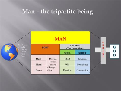 1756398914567.png