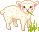 IMG_0112.gif