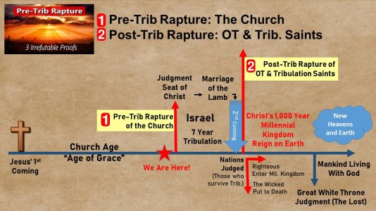 Timeline.jpg Timeline.jpg