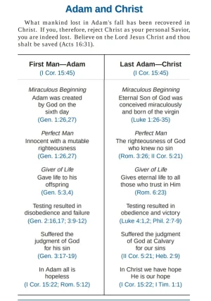 Adam and CHRIST.webp