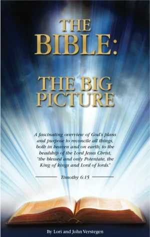 BIBLE _ BIG Picture.webp