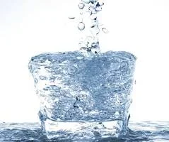 download (1).webp download (1).webp