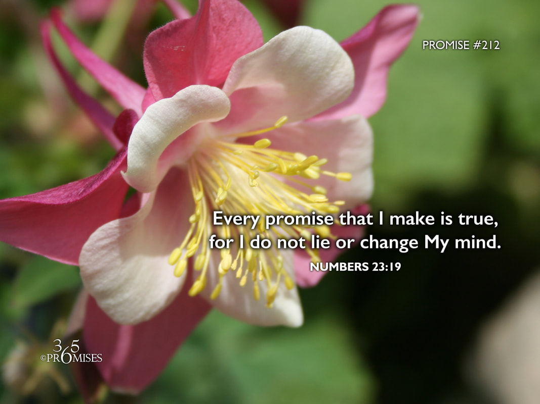 www.365promises.com