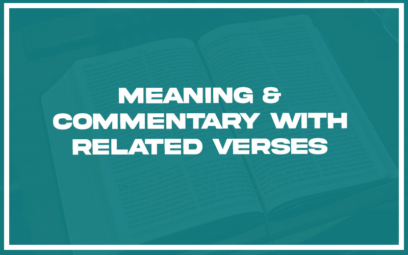 Meaning-commentary.jpg