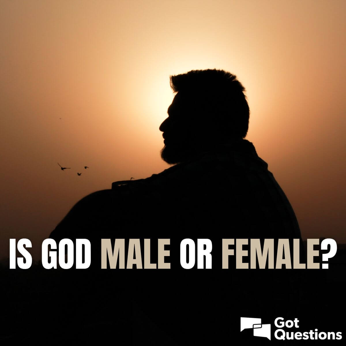 www.gotquestions.org