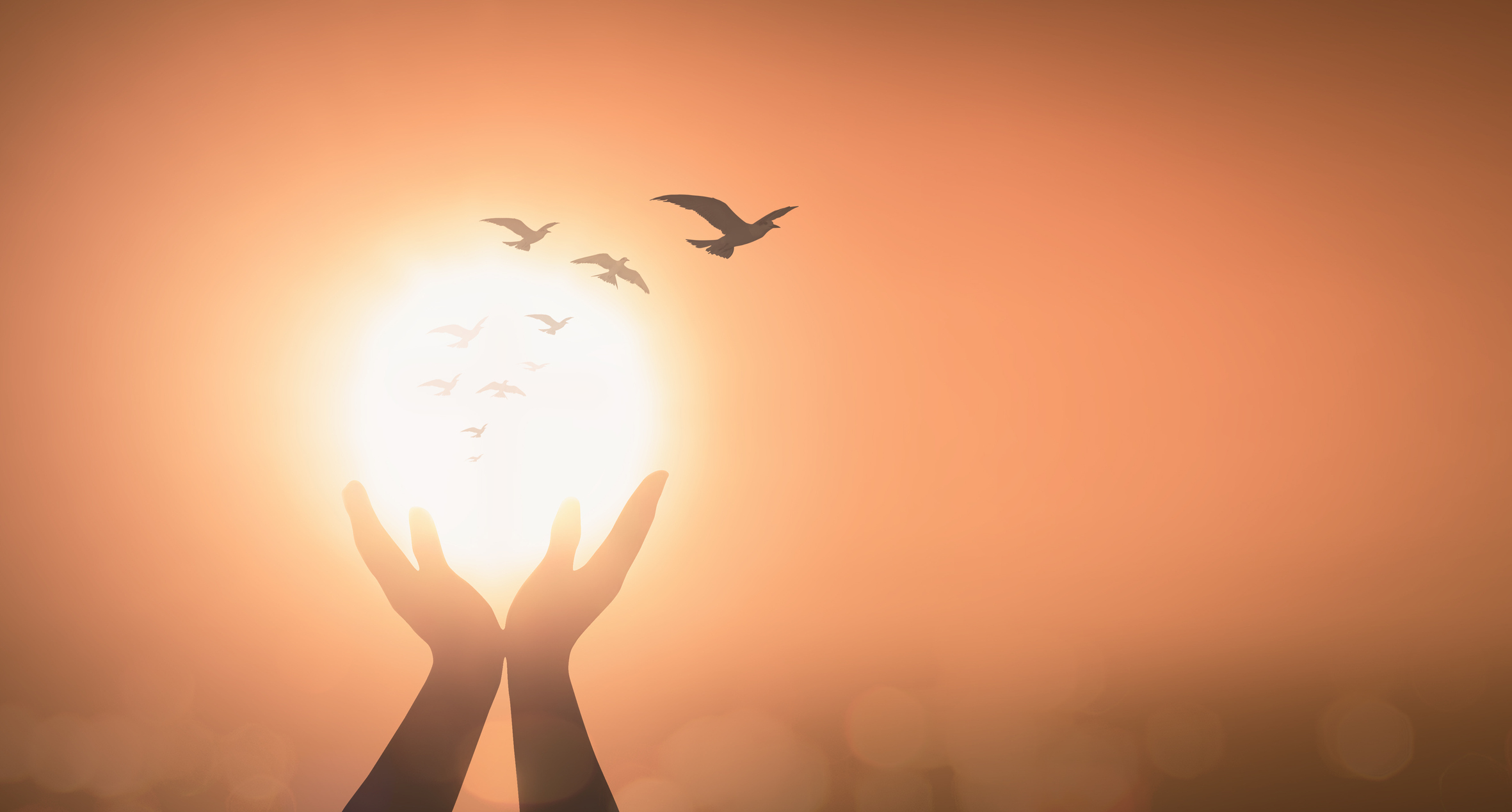 bahaiteachings.org