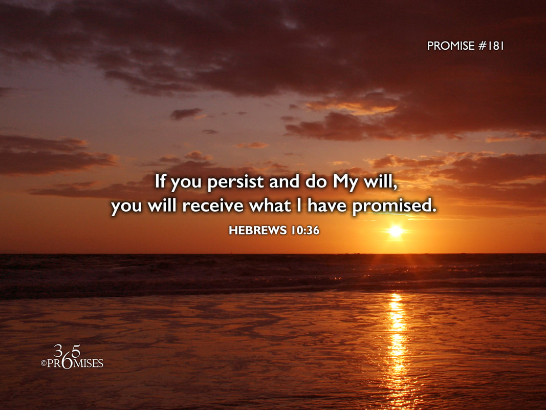 www.365promises.com