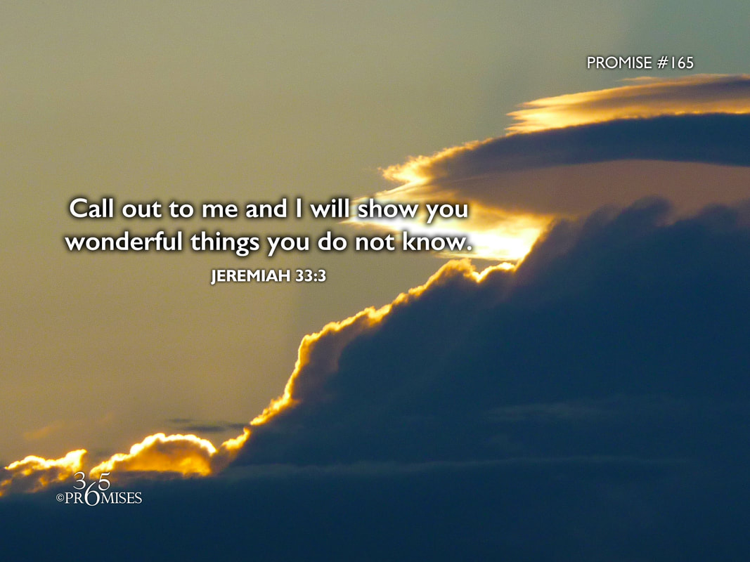 www.365promises.com
