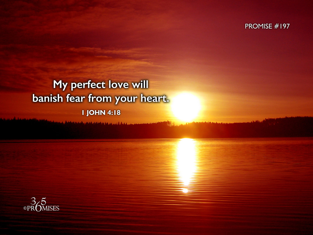 www.365promises.com