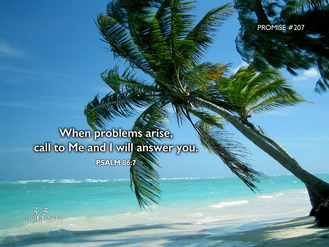 www.365promises.com