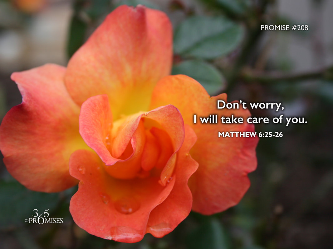 www.365promises.com