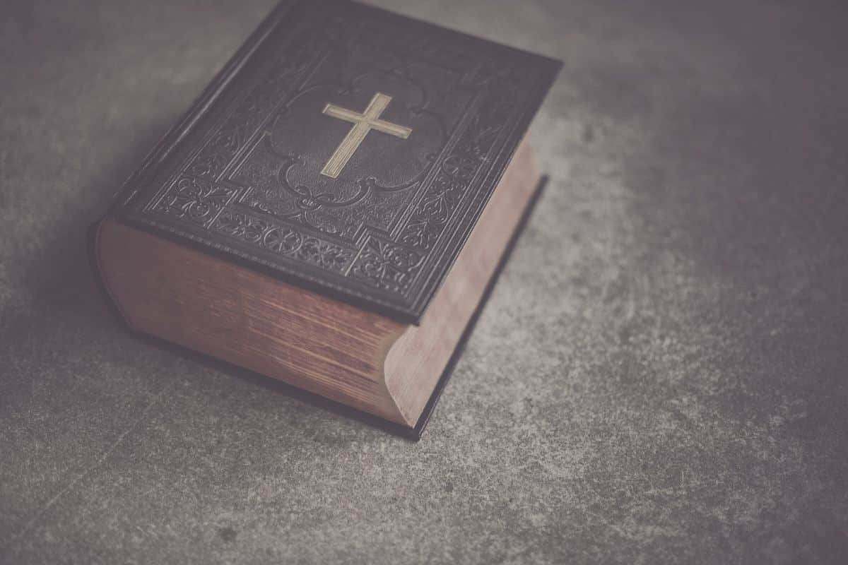 rediscoveringthebible.com